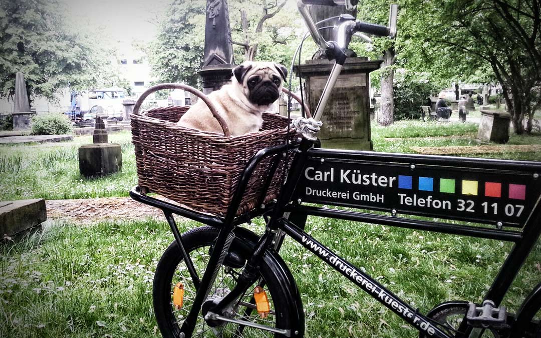 Autofreier Sonntag  in Hannover – Klimaschutz mit der Carl Küster Druckerei Hannover